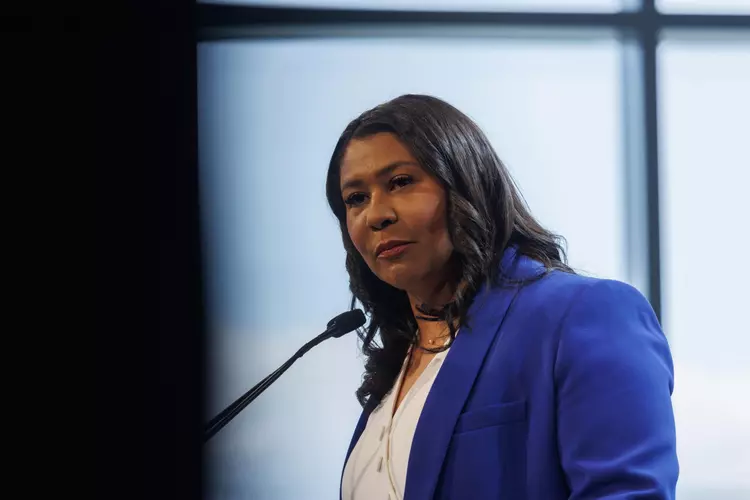 Supervisors postpone Mayor London Breed’s effort to allow some city departments to fundraise for the pandas’ cost.