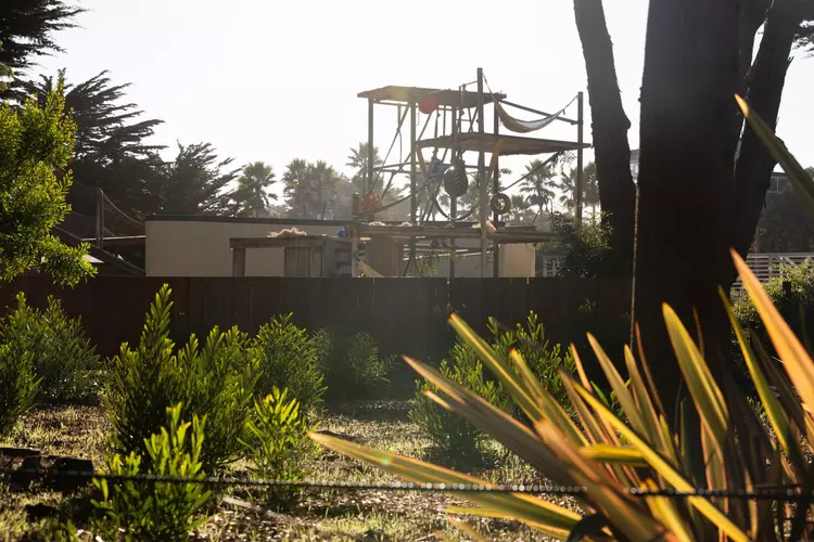 The city’s decision to audit the San Francisco Zoo’s finances and overall performance elicited a furious response from officials at the facility.